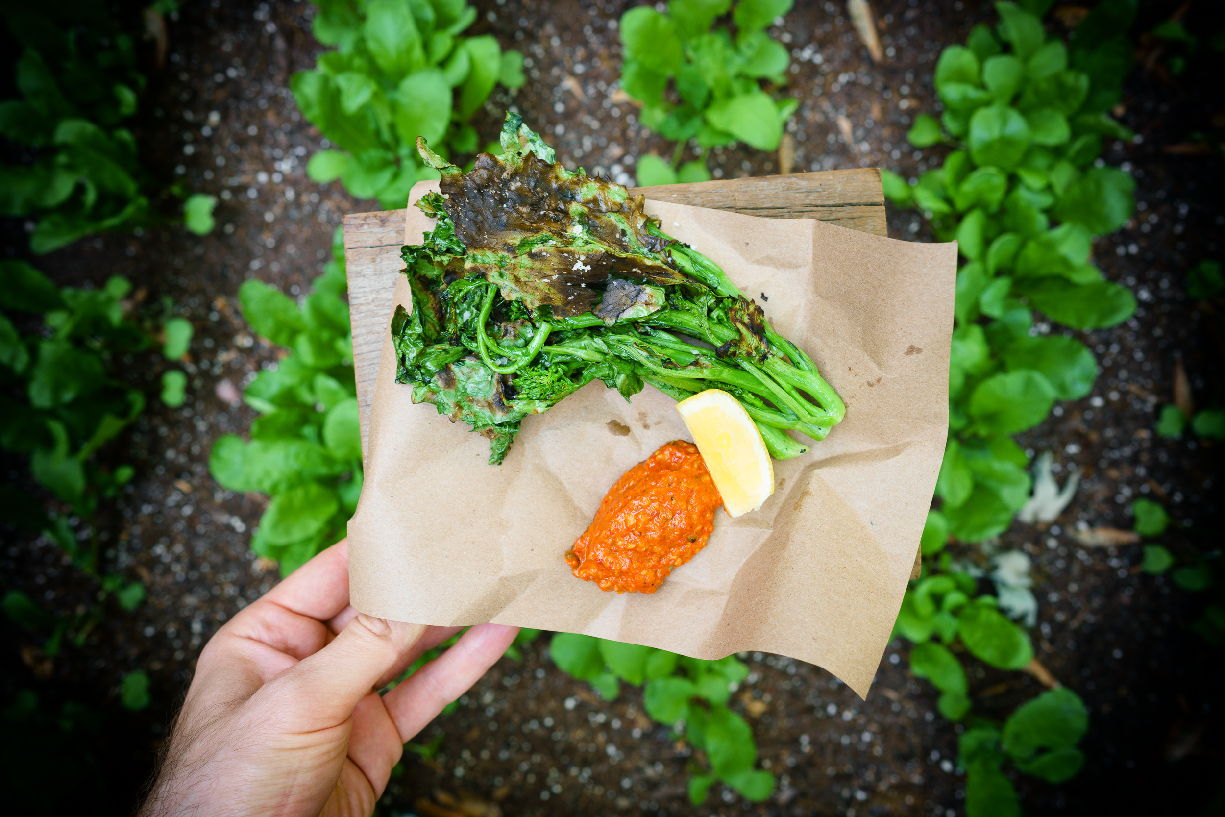 Grilled Broccoli Rabe with Romesco