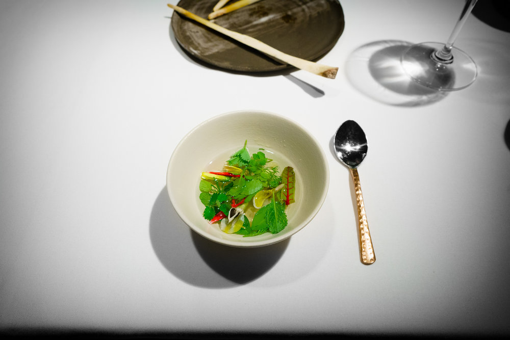 13th Course: Aromatic Ripponlea Broth