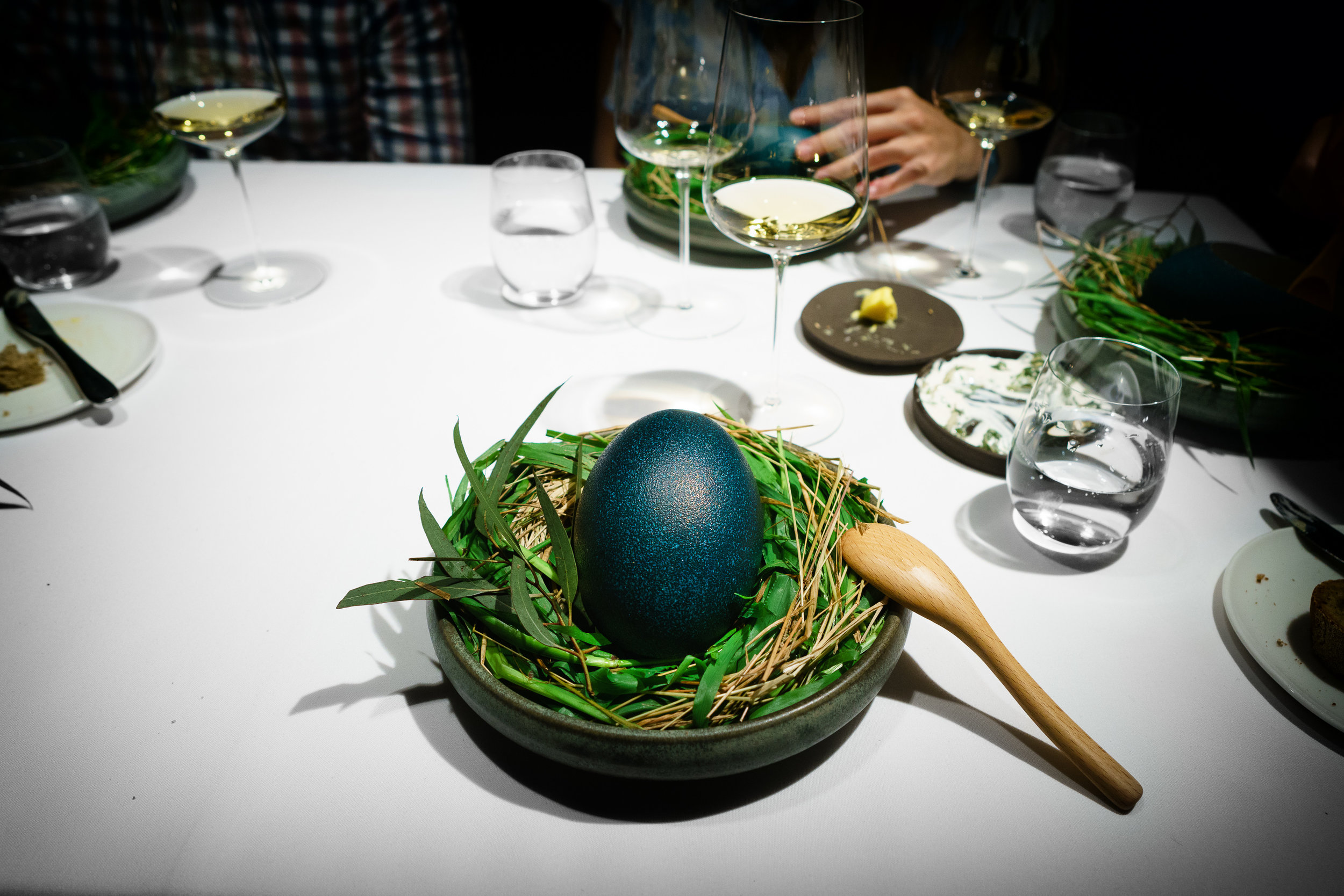 17th Course: Emu's Egg