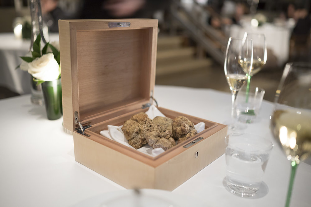 White Truffles from Alba