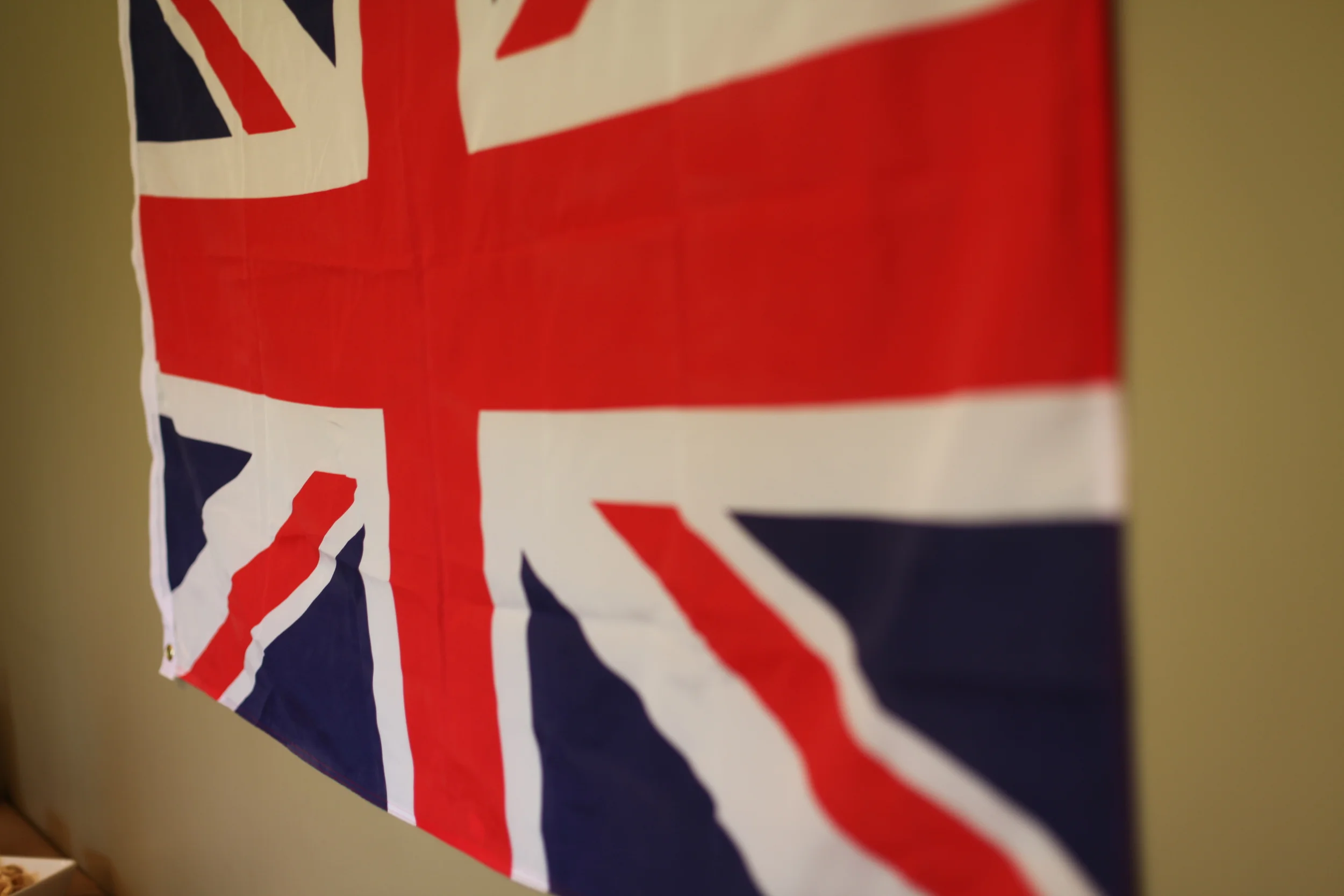 Spotlights on the Team