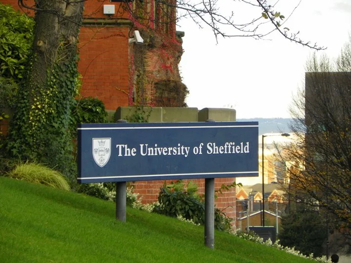 This picture was taken at The Uni Of campus in Sheffield, England.