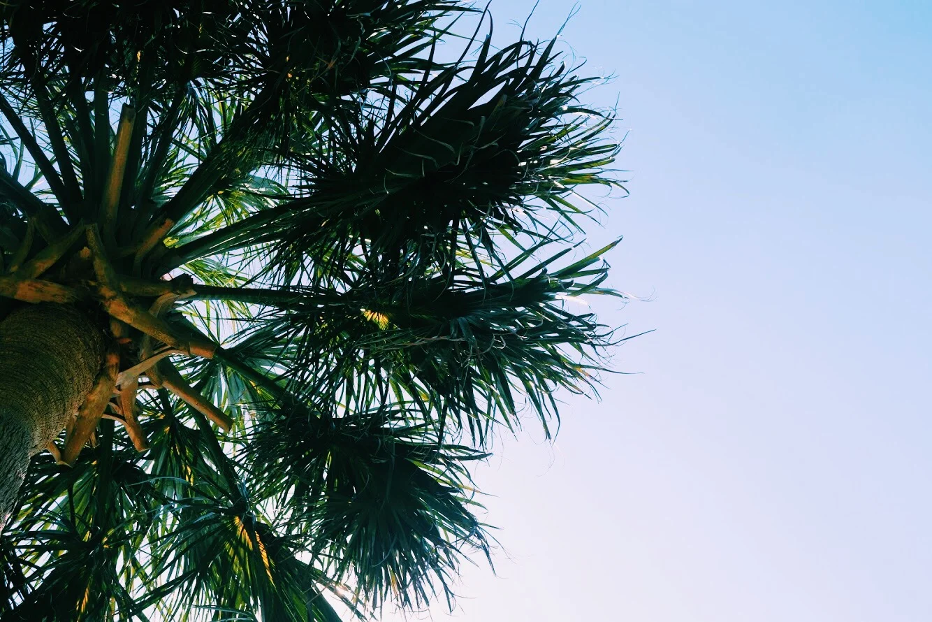 God's WILL for Your Life