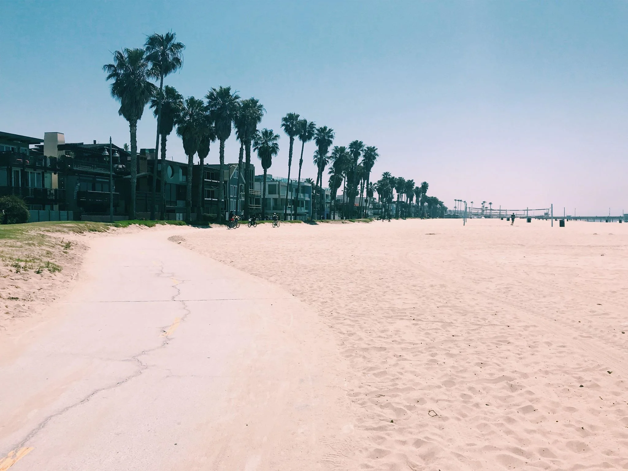 venicebeach2.jpg
