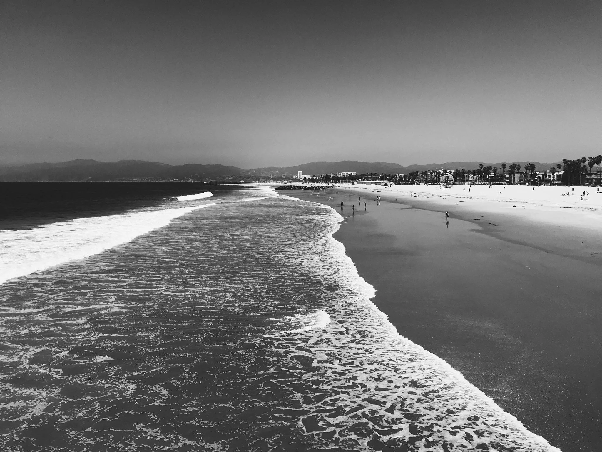 venicebeachbw.jpg