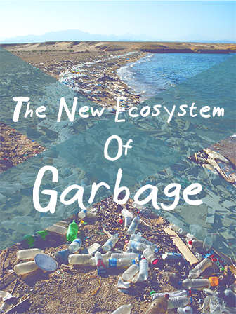 NewGarbage_Cover_336[1].png