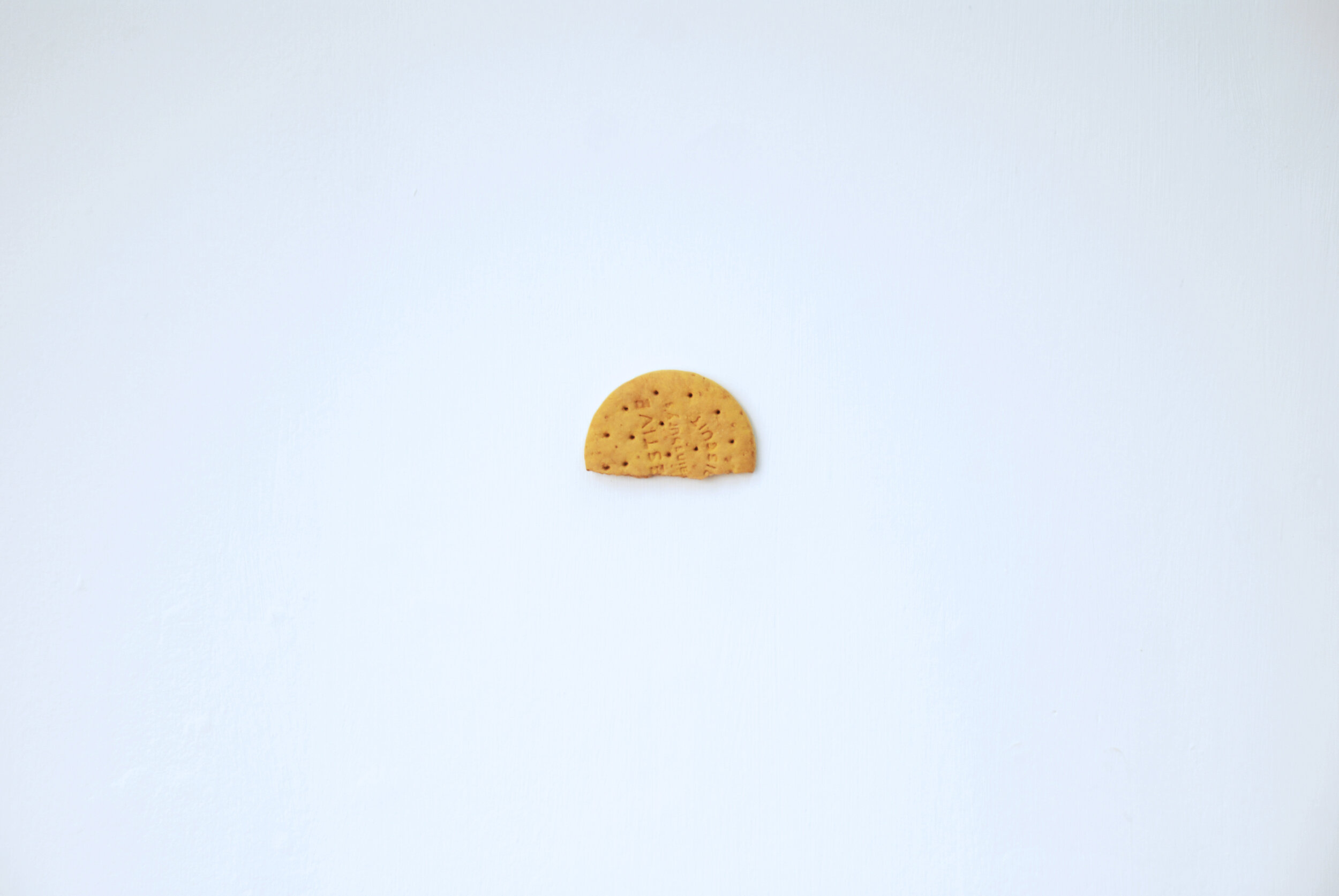  Apollo 11 image of Earthrise 1969 2020 Cast Plaster of broken Digestive biscuit, Oil Paint 