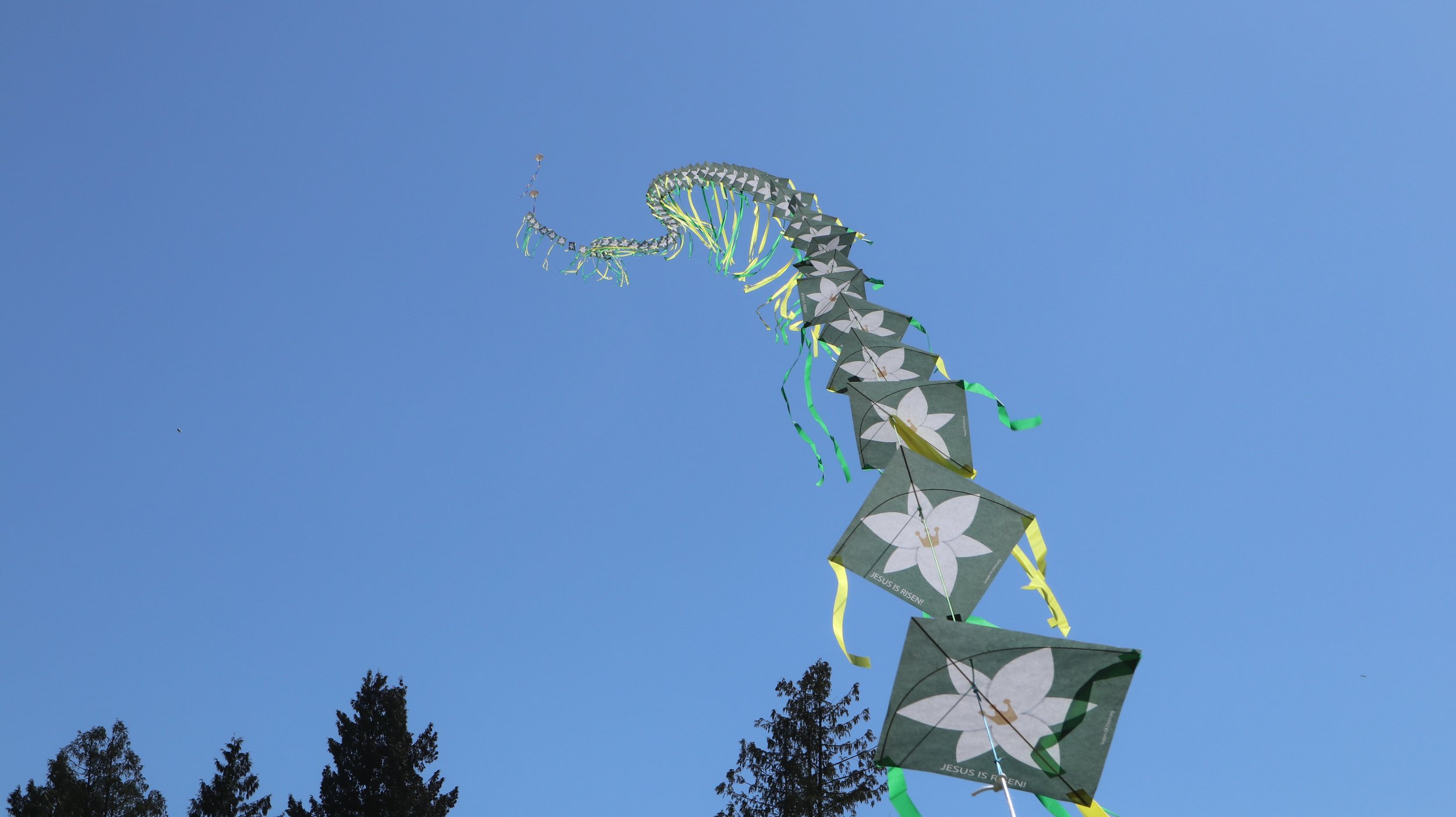 부활절 백합 연날리기 영상