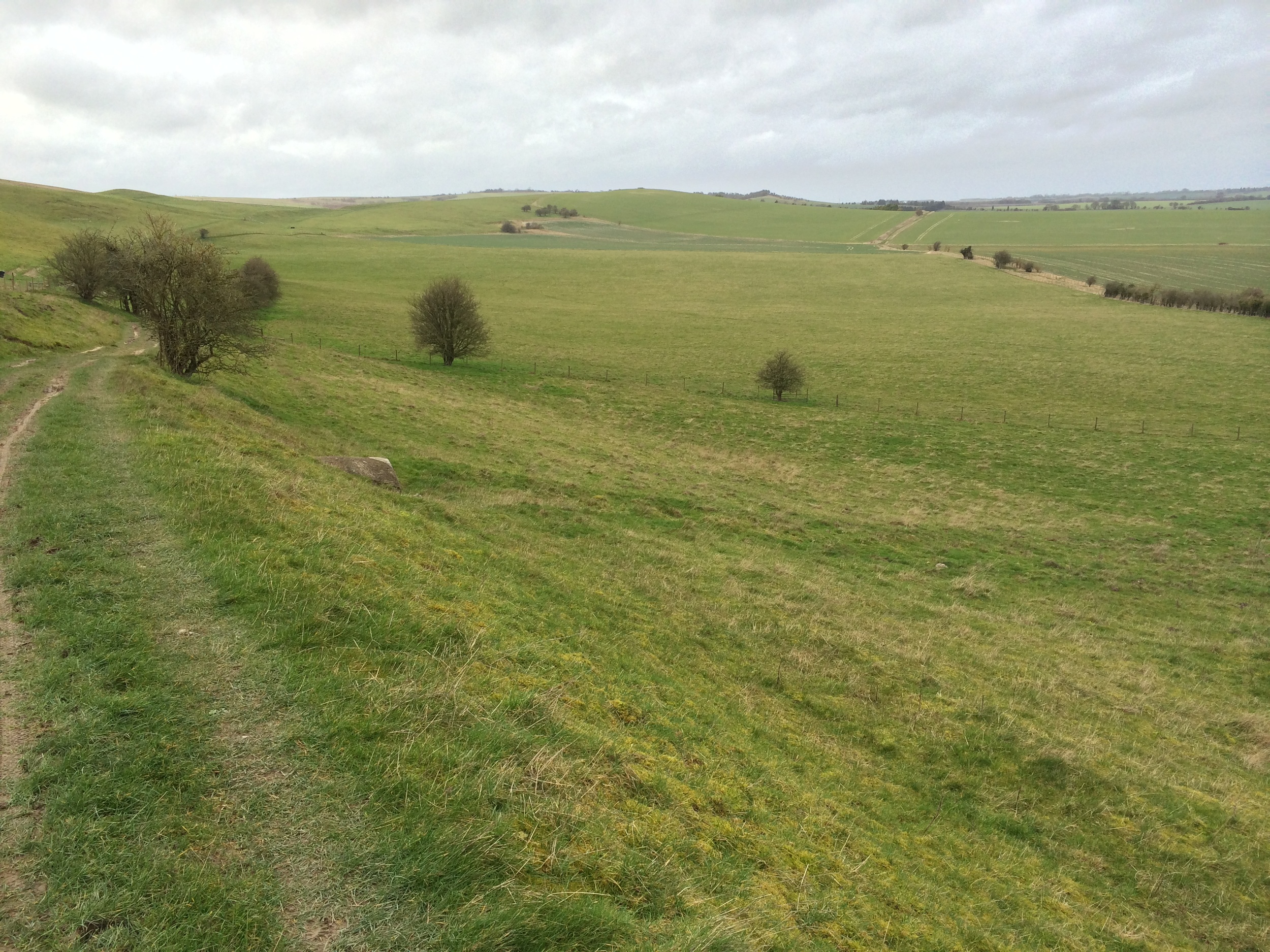 the ridgeway path looking west towards avebury