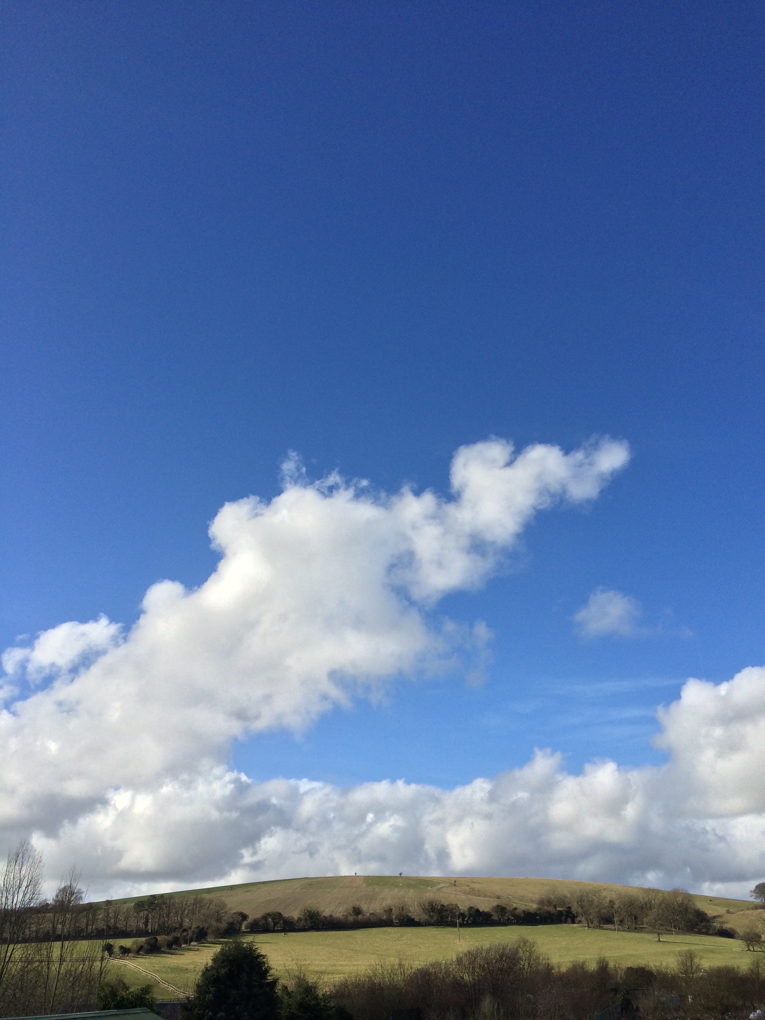 view from apartments across the nursery.jpg