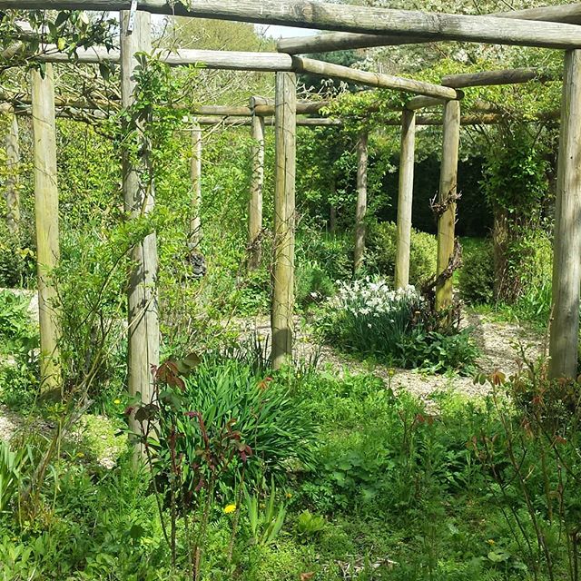 Our arbour in the garden at Buckerfields Barn #selfcateringaccommodation
#nature
#beautiful
#airbnb
#tripadvisor