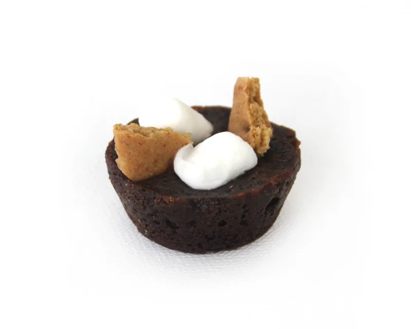 smore-bite-web.jpg