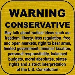 AP U.S. Government and Politics