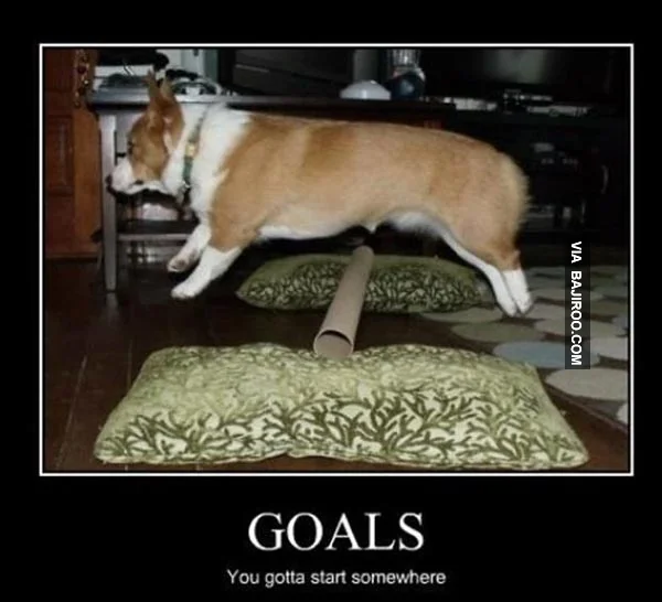 funny-its-good-to-have-goals-meme.jpg