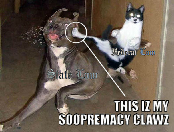 AP US Government and Politics