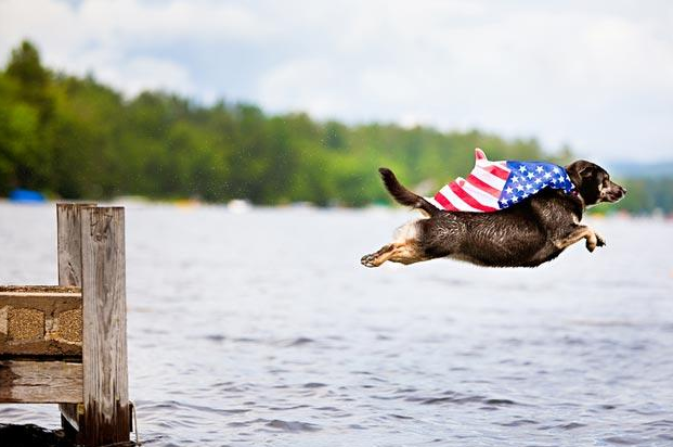 AP US Government and Politics
