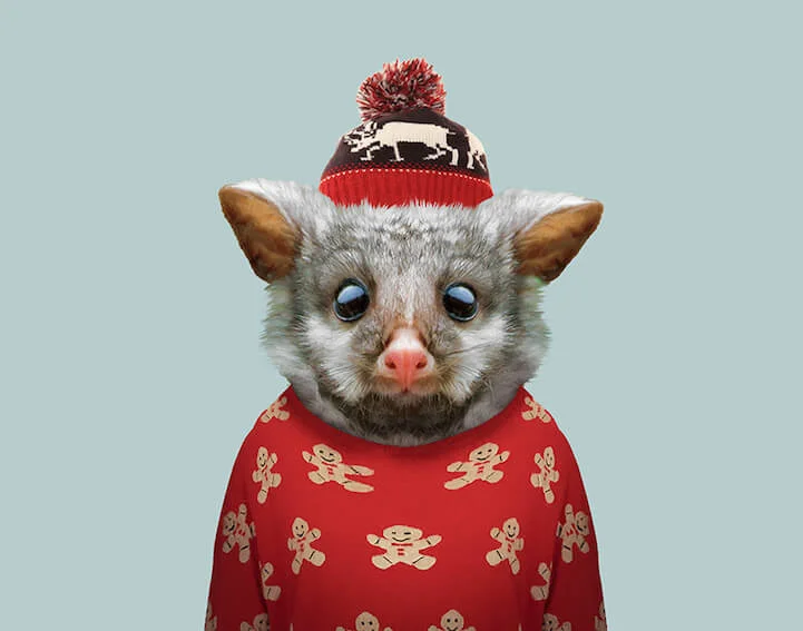 animals-dressed-as-humans-19-1.jpg