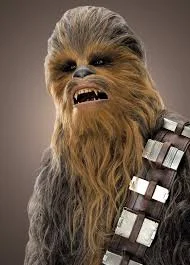 chewy.jpg