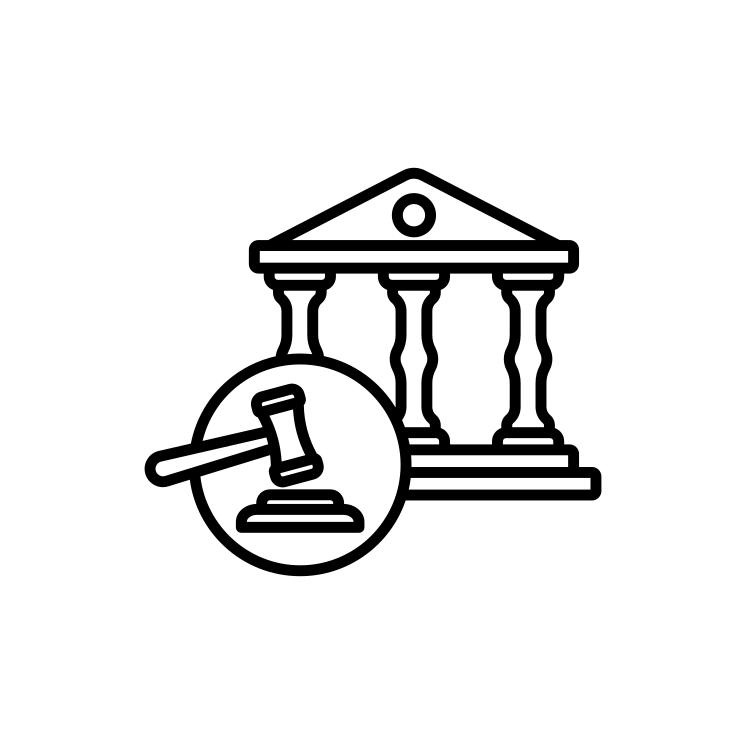 Amicus Curiae (friend of the court) Brief