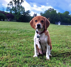 Unit 1 Interactive Review