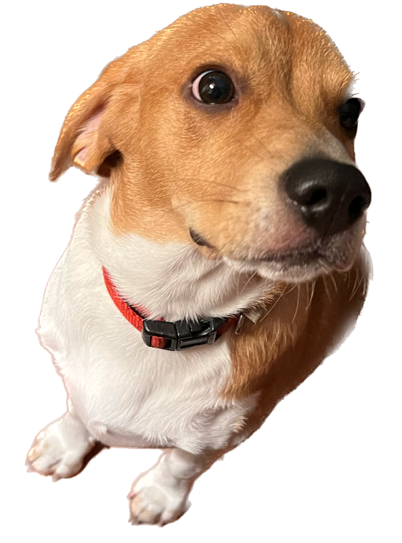 Unit 2 Interactive Review