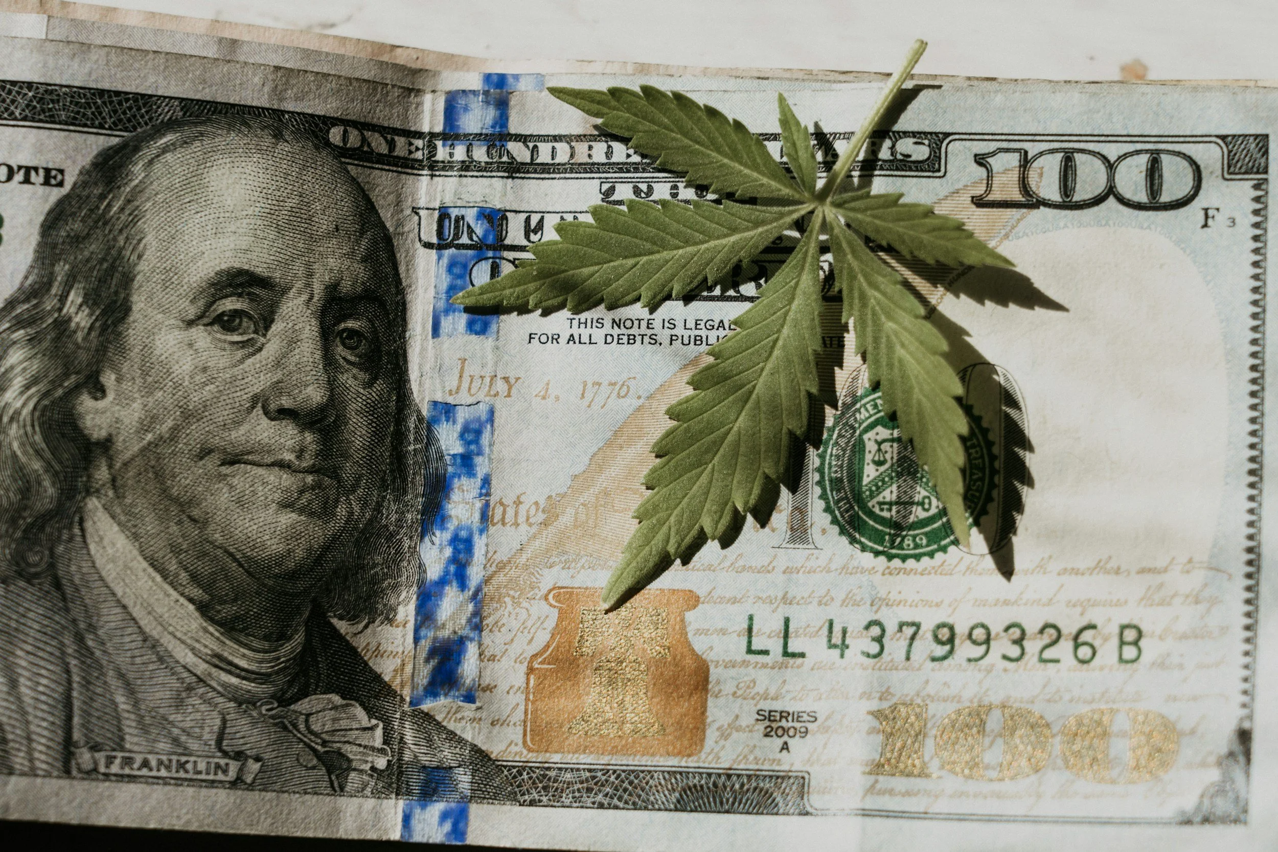 Unit 1 - Federalism and Weed