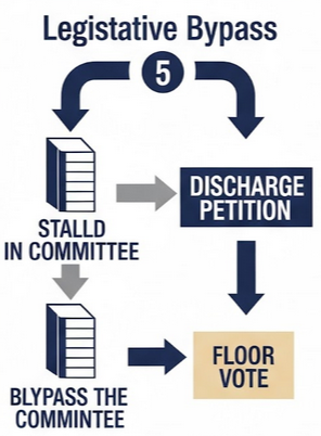 FREE Dischgarge Petition Lesson