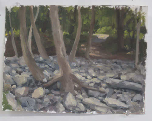 Trees on Rocky Bank