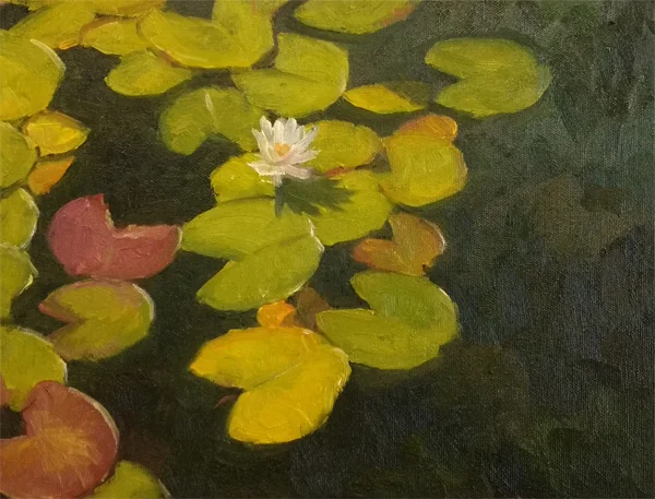 Waterlil sketch on canvas panel 2, 600 px.jpg