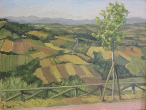 Small scale farms of hilly Umbria are the kind of landscape I love to paint!