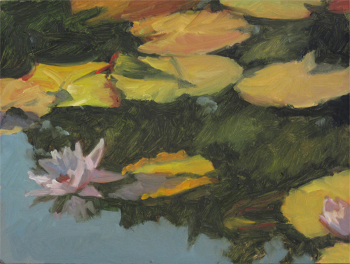 Pink Waterlily with Tree Reflection
