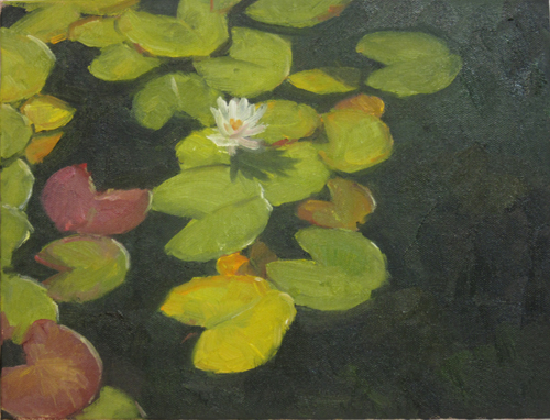 White Waterlily in Dark Pond