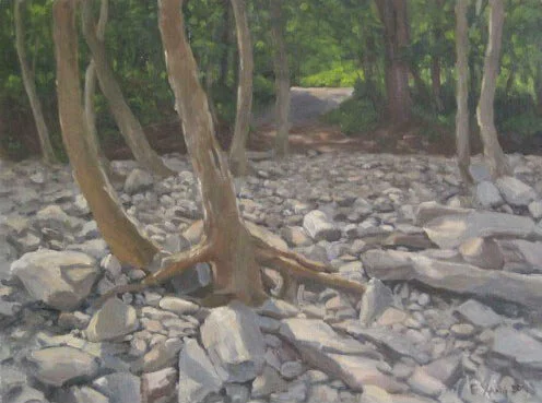 Trees by Stream 1
