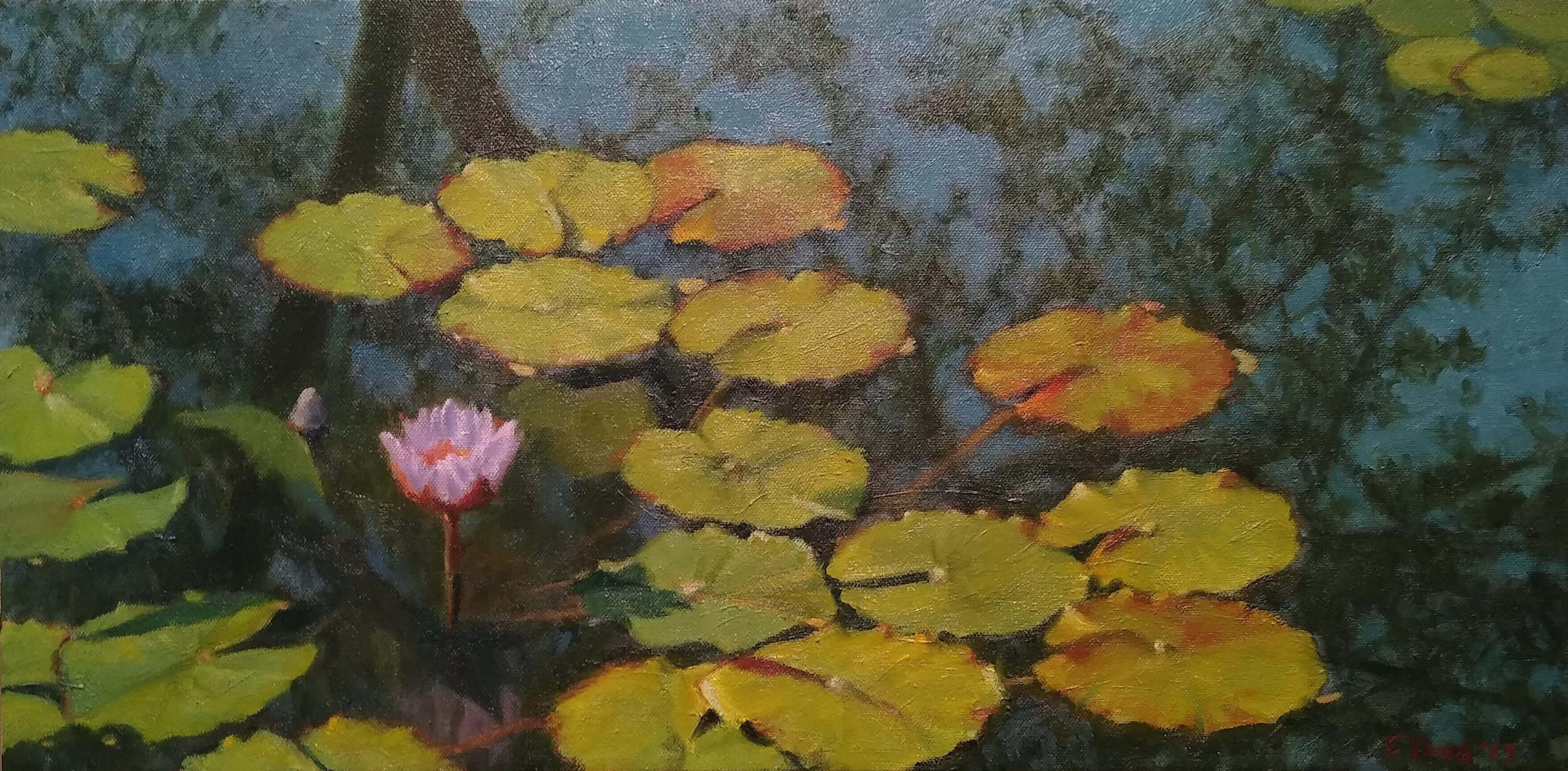 Waterlilies with Forked Tree Branch Reflection, Spring