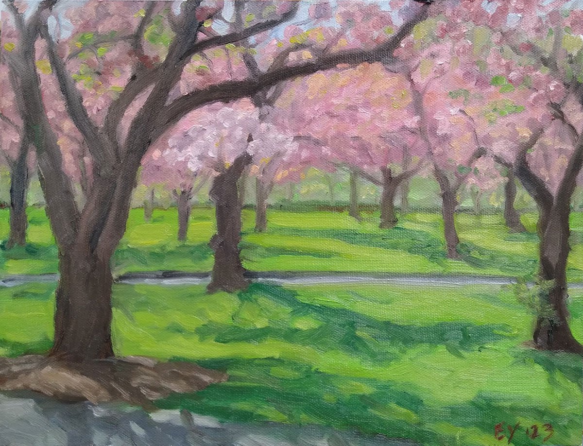Cherry Blossom Esplanade (BBG)
