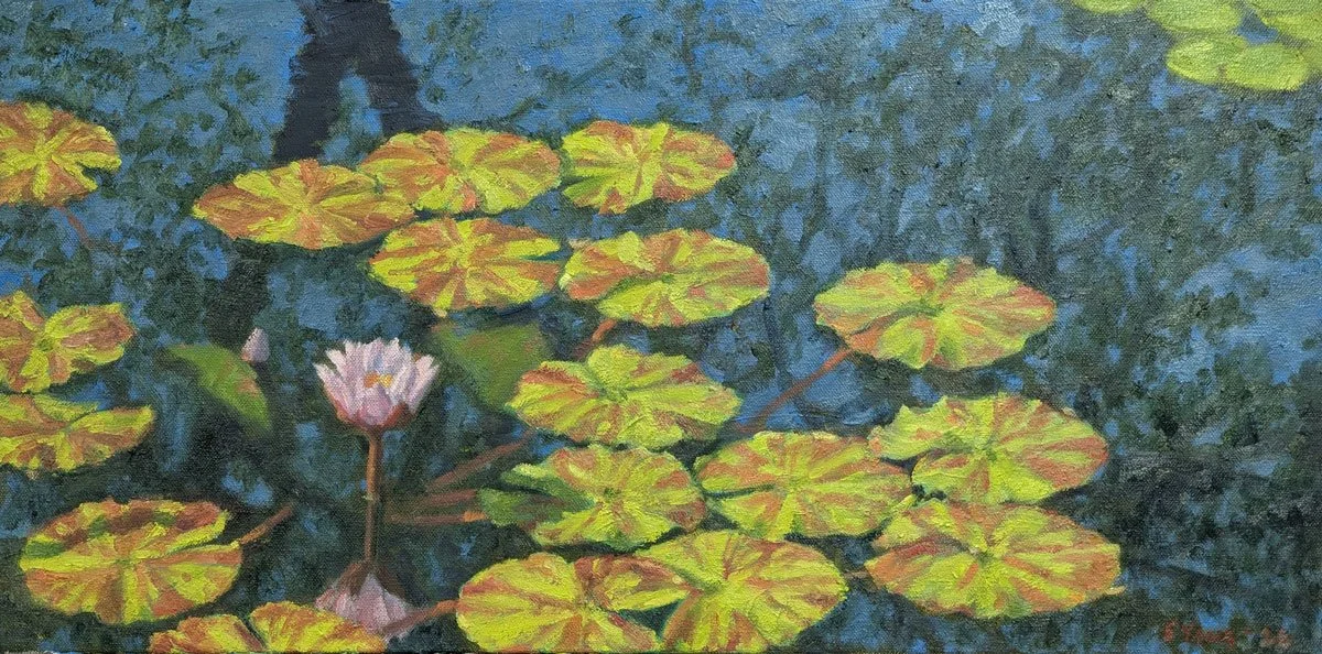 Waterlilies with Forked Tree Branch Reflection, Spring