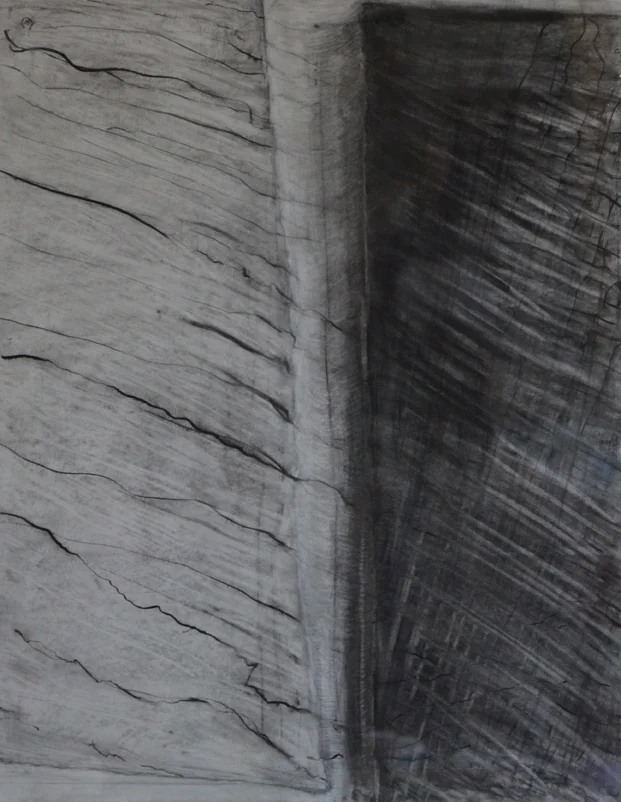  Untitled/ 2008/ Charcoal on paper/ 18" x 24" 