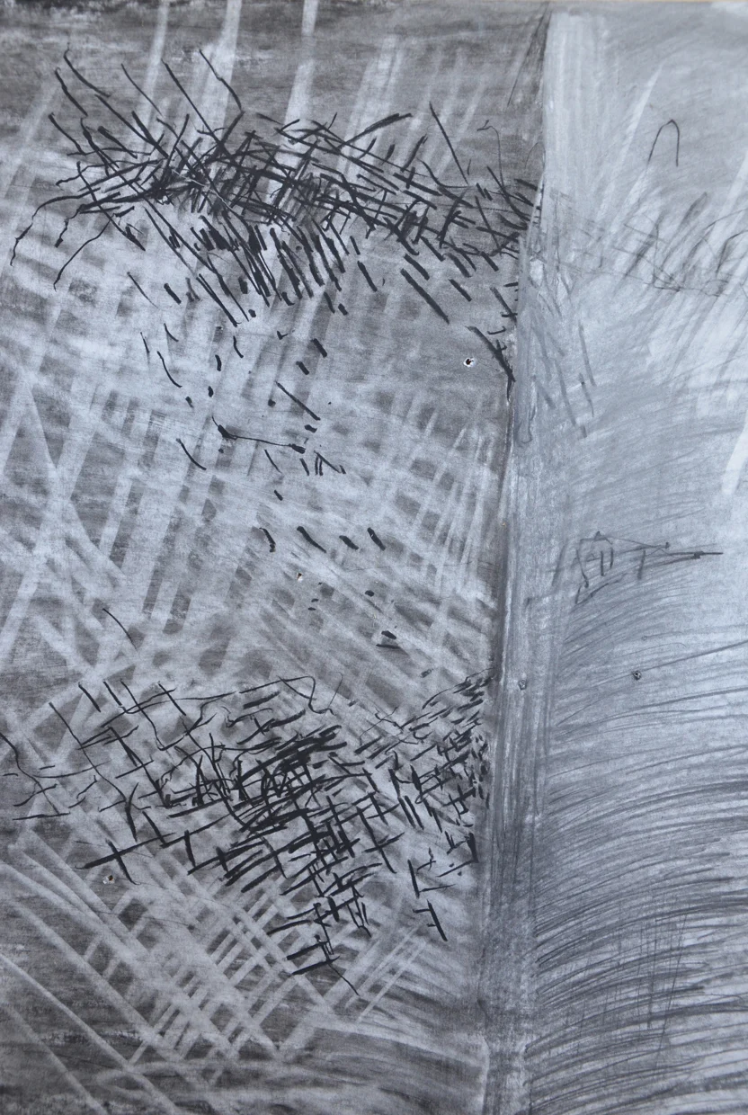  Untitled/ 2008/ Graphite on paper/ 18" x 24" 