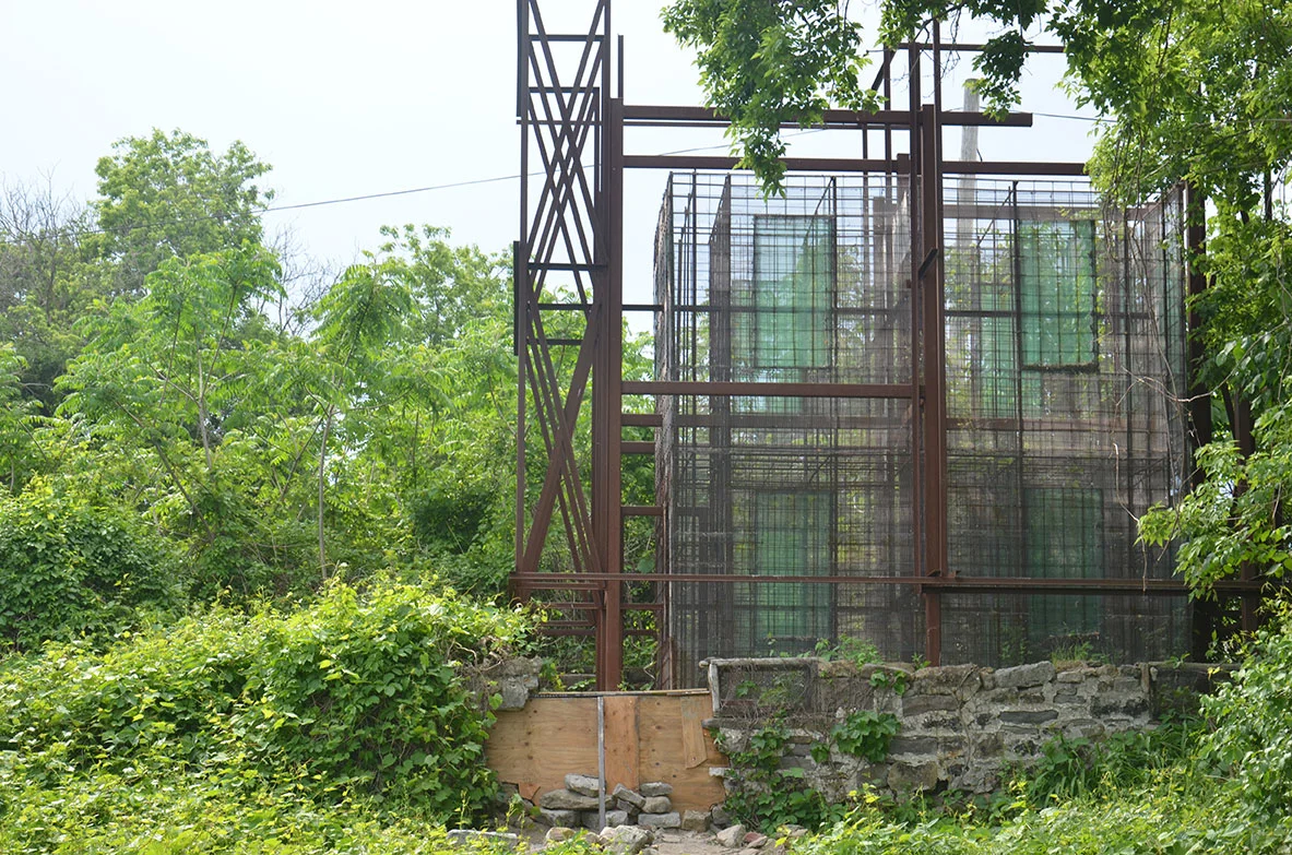 DSC_7932-Translucent-Home-repair.jpg