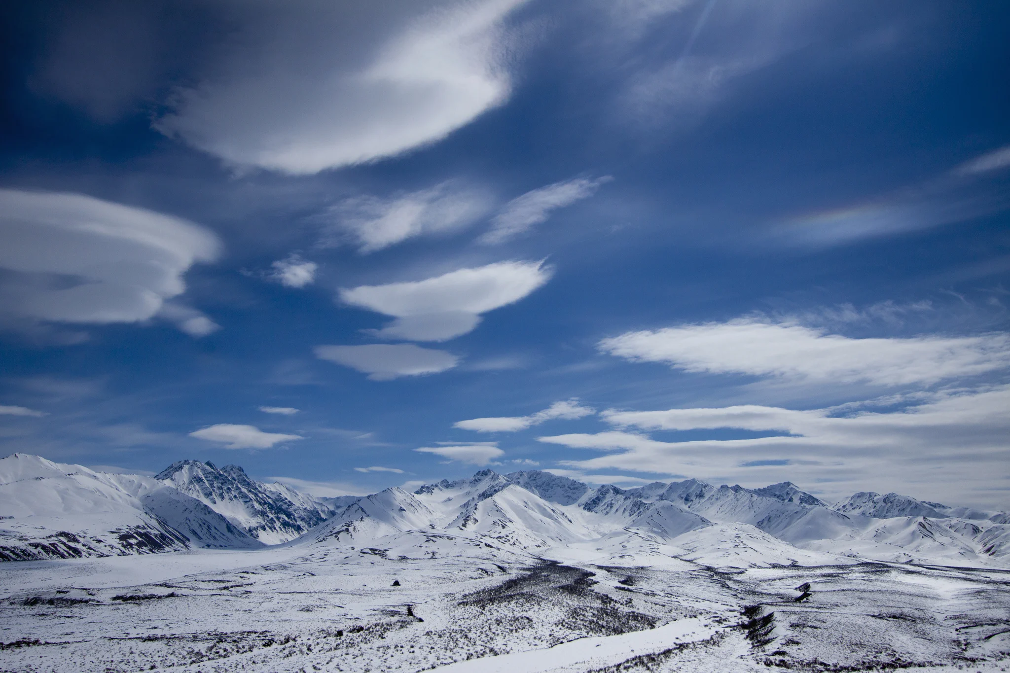 Denali National Park, Alaska, USA