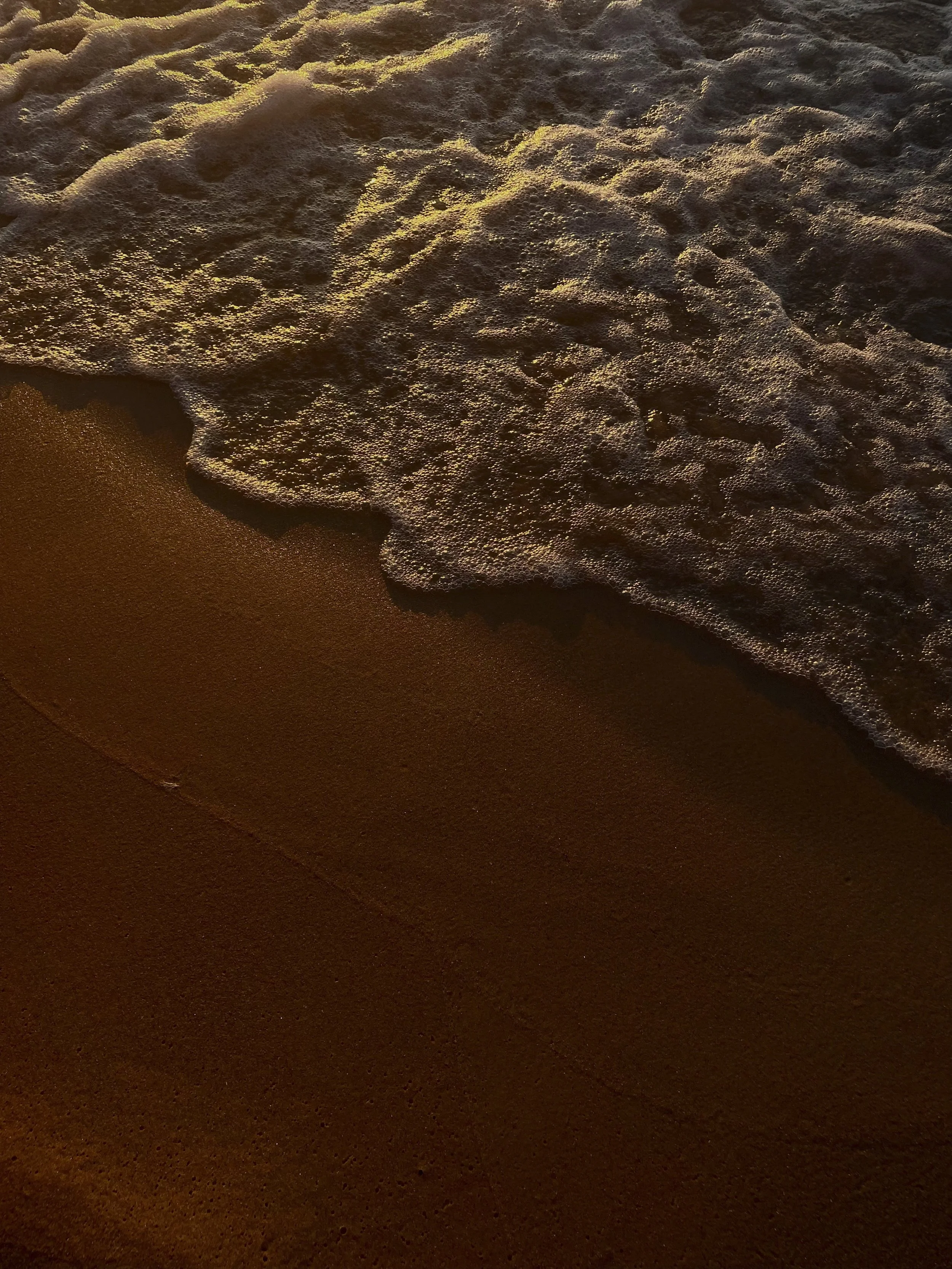 Leelanau Township, Michigan