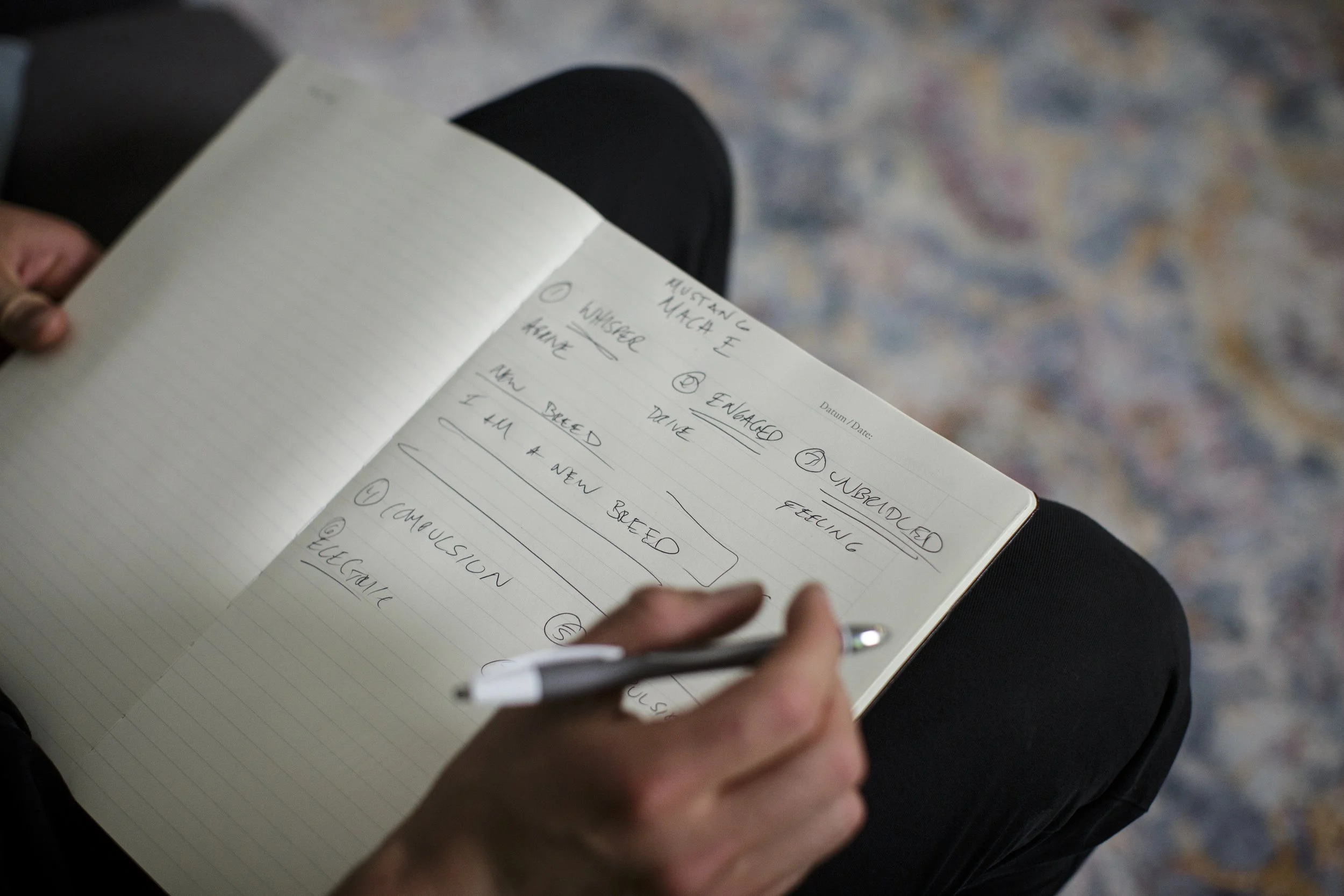  A collection of candid, editorial and documentary photography for a music collaboration with Matthew Dear of Ghostly International and Ford Motor Co. 