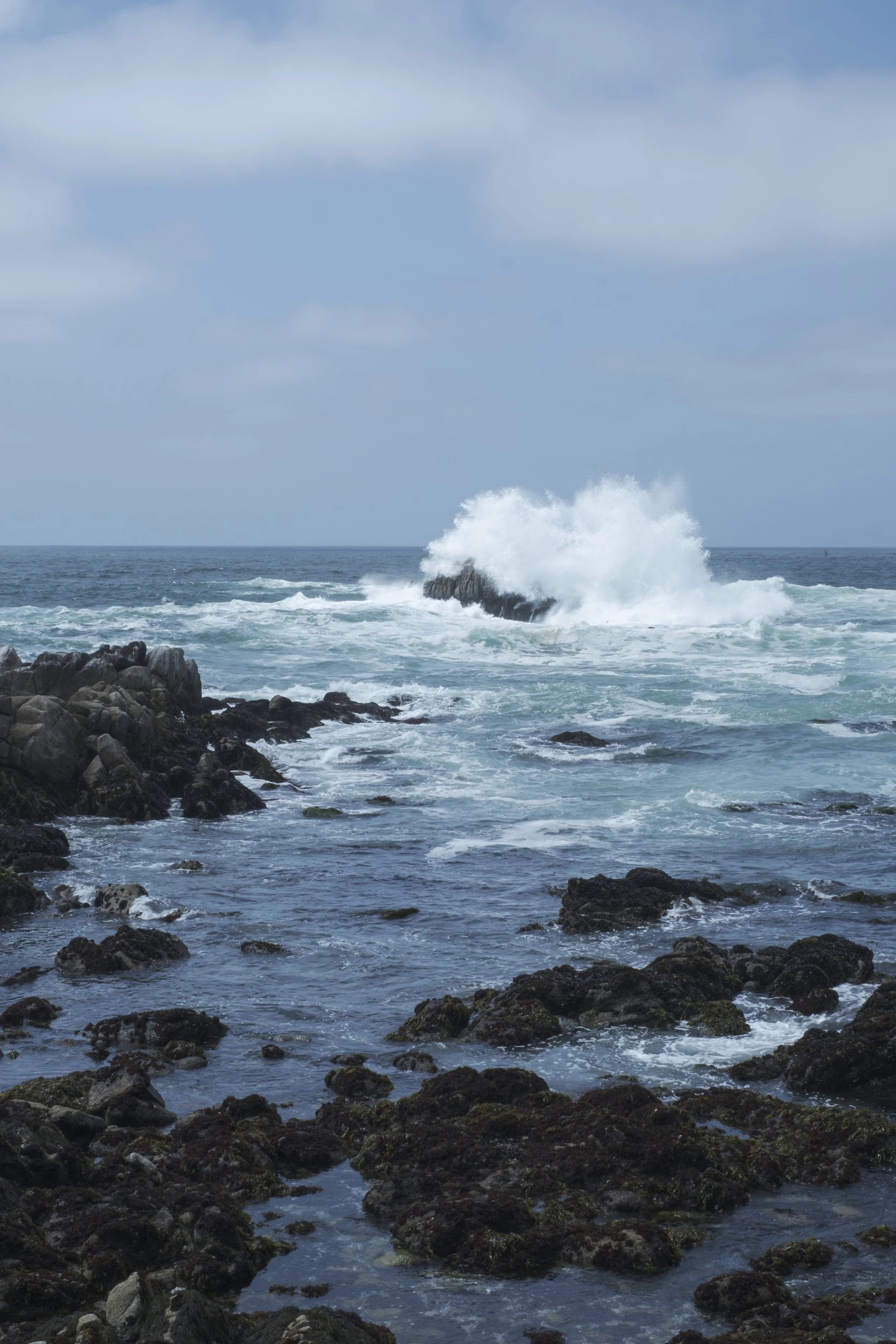 Waves at The Great Tide Pool, Pacific Grove, CA