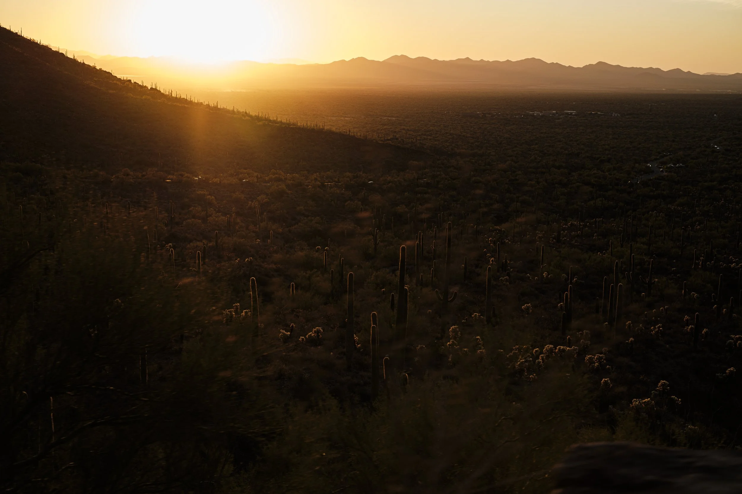Sunset in Saguaro Nat'l Park, Arizona