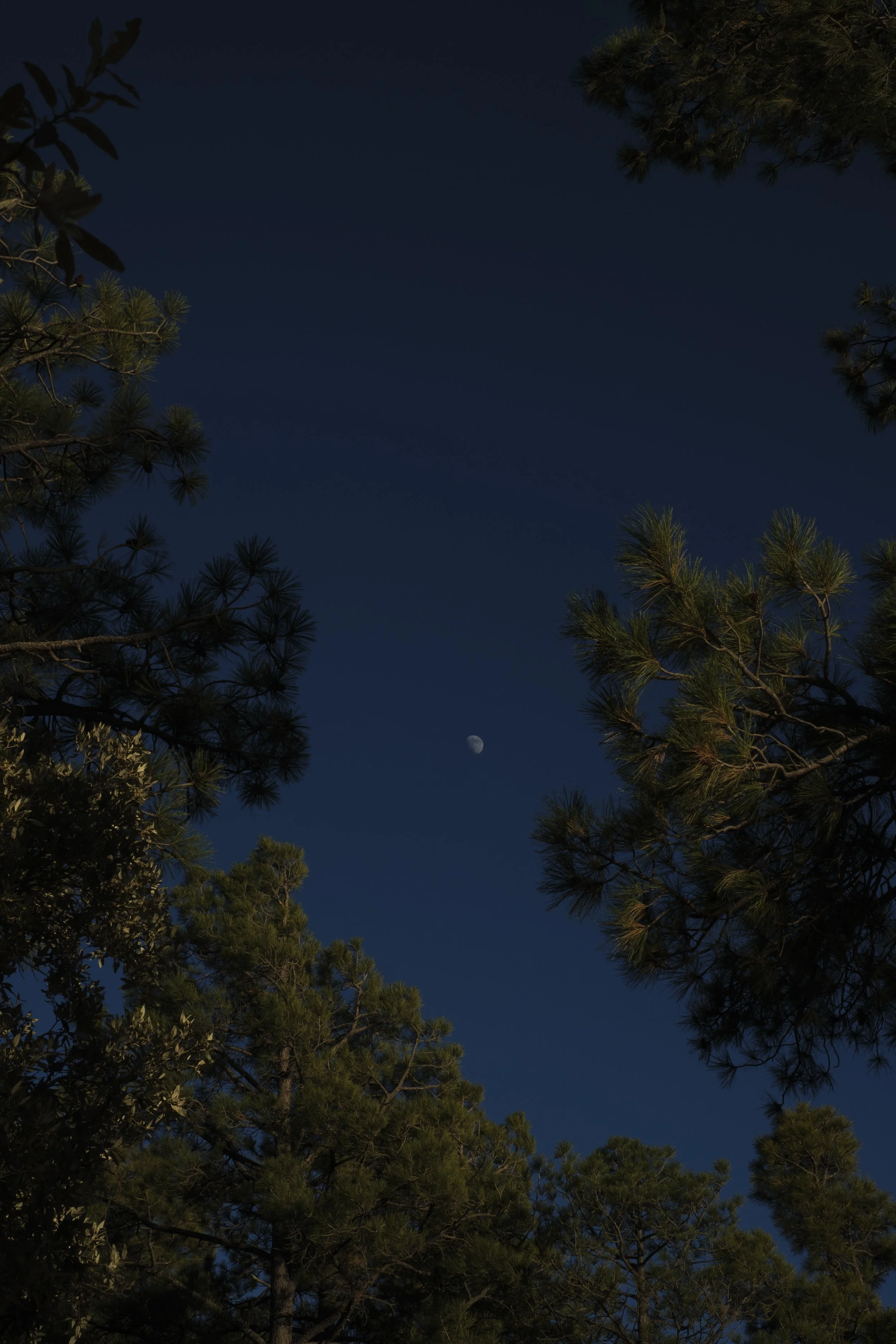 Moon rise at Mount Lemmon, AZ
