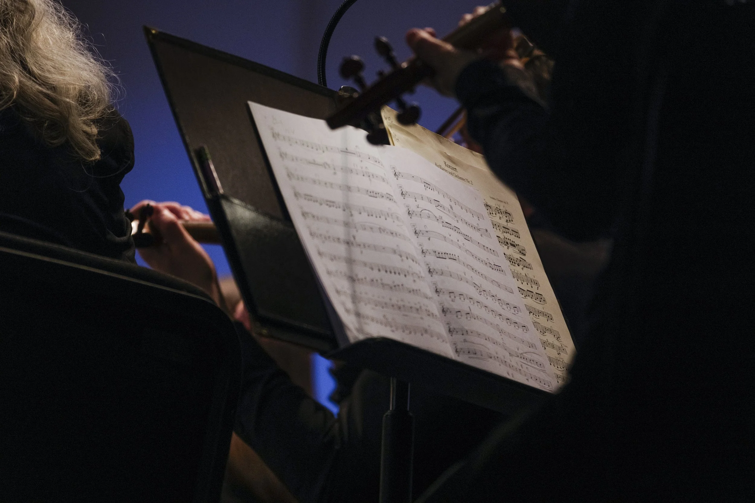  Live Music, Concerts, Arts and Culture Storytelling Photographer in Ann Arbor &amp; Detroit Michigan Charlotte Smith 