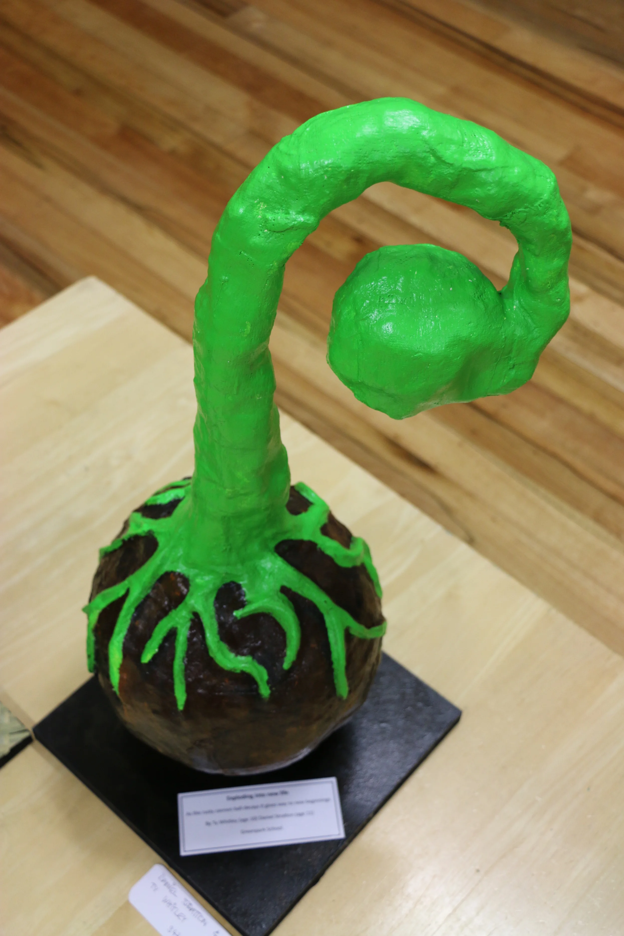 Lecture Series 037.JPG