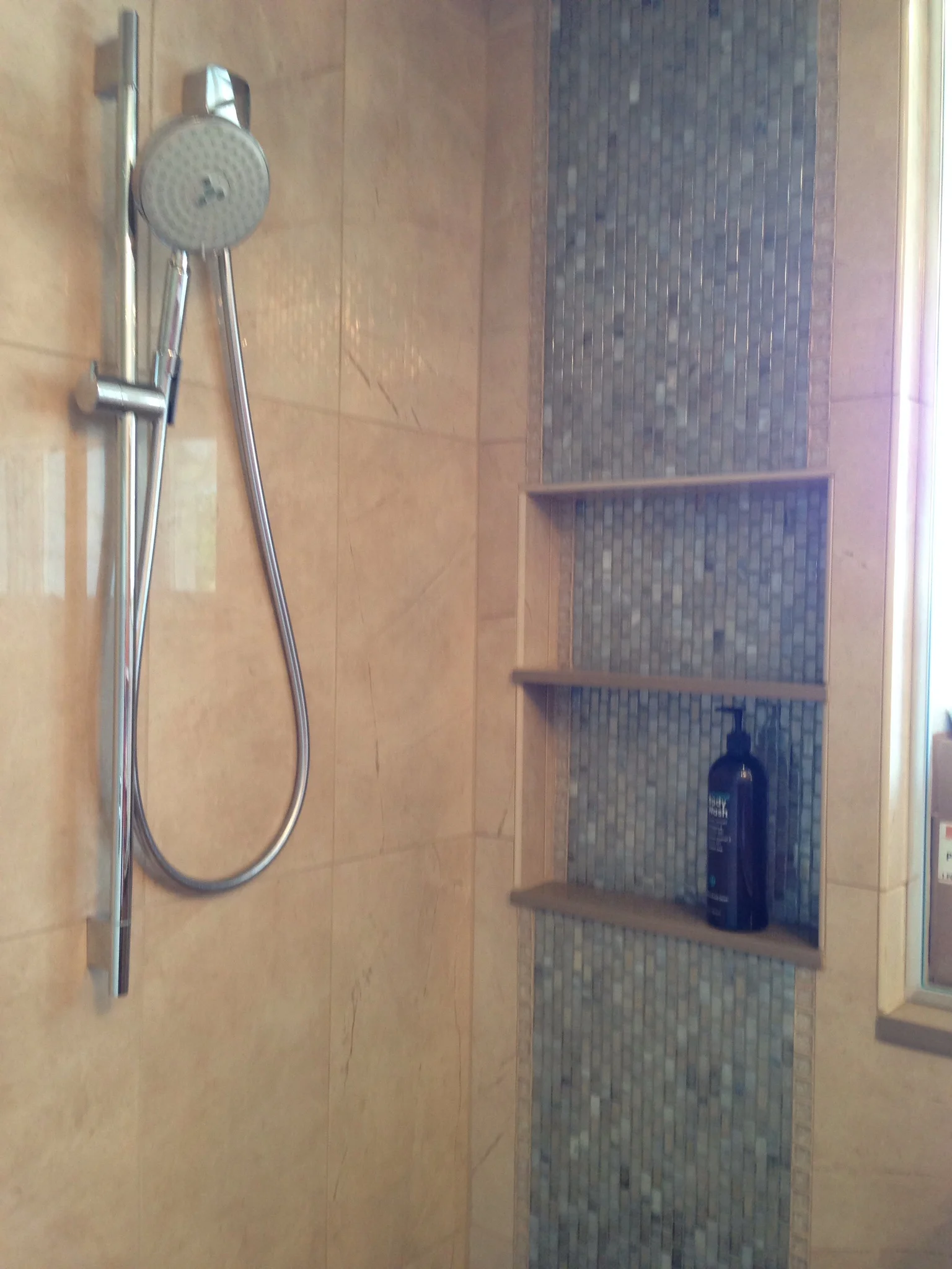 Shower niche