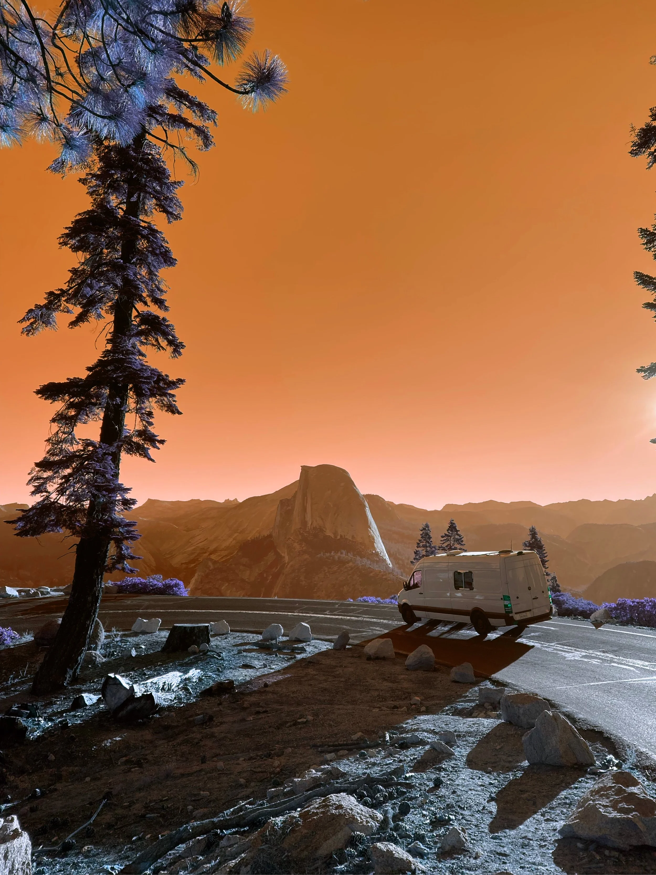 69D62A7D-3EC8-4A2A-BC65-19DF3C8A5456.JPG