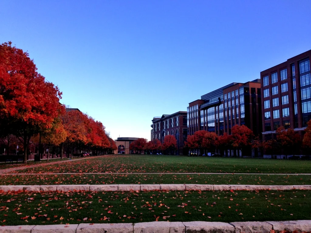 Lane on... A fall morning in Coolumbus